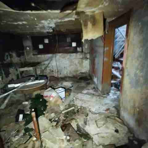 8031 conger (82).jpg